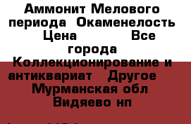 Аммонит Мелового периода. Окаменелость. › Цена ­ 2 800 - Все города Коллекционирование и антиквариат » Другое   . Мурманская обл.,Видяево нп